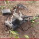 pakistani drone
