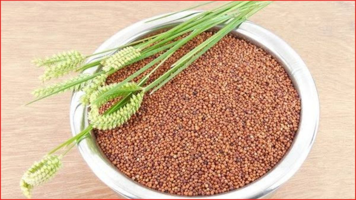 Small seeds, big benefits: Why millets should be on your plate