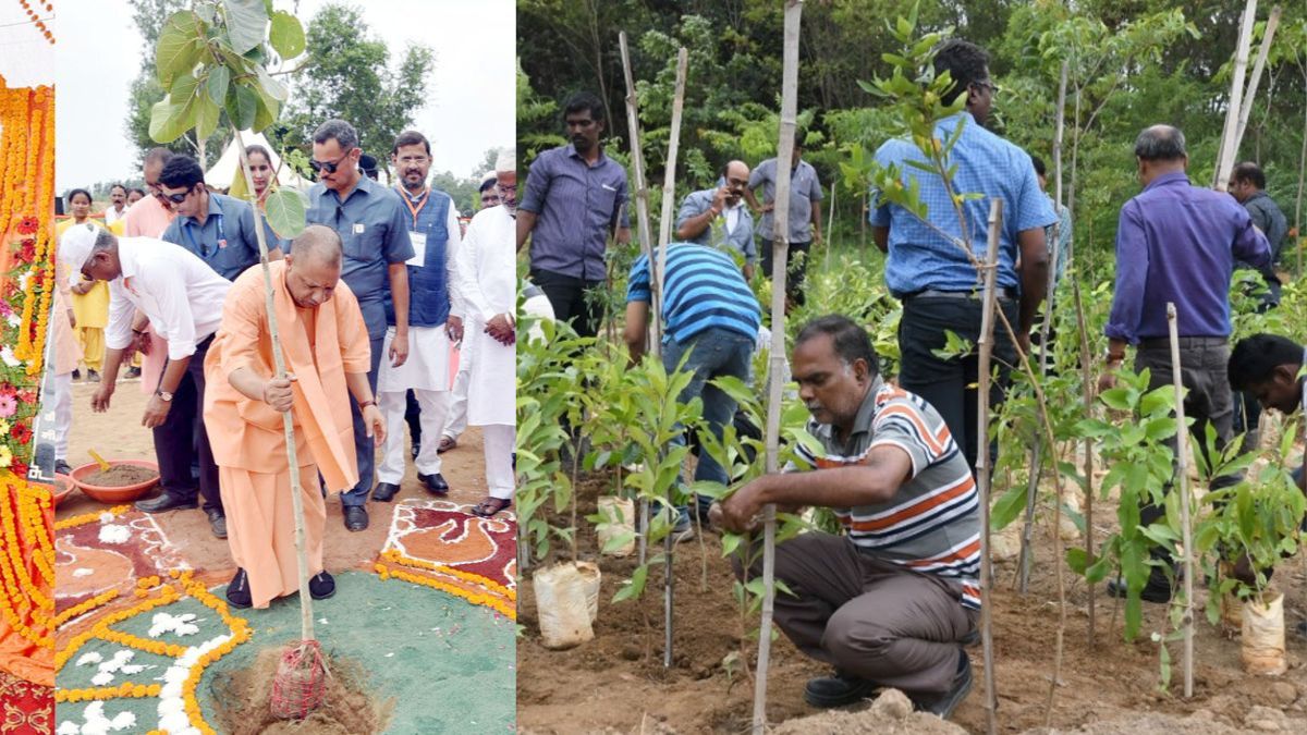 People take part overwhelmingly in ‘Tree Plantation Campaign-2023′ to achieve CM Yogi’s green mission