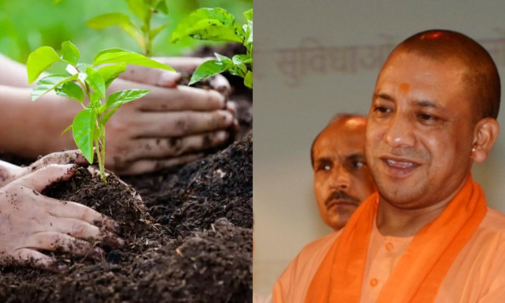 UP to set new record of plantation at ‘Van Mahotsav’ by imbibing the spirit of ‘Mata Bhoomi Putro Aham Prithivya’: CM Yogi