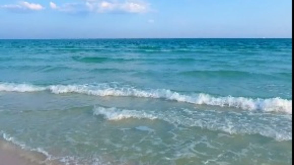 Florida beach (1)