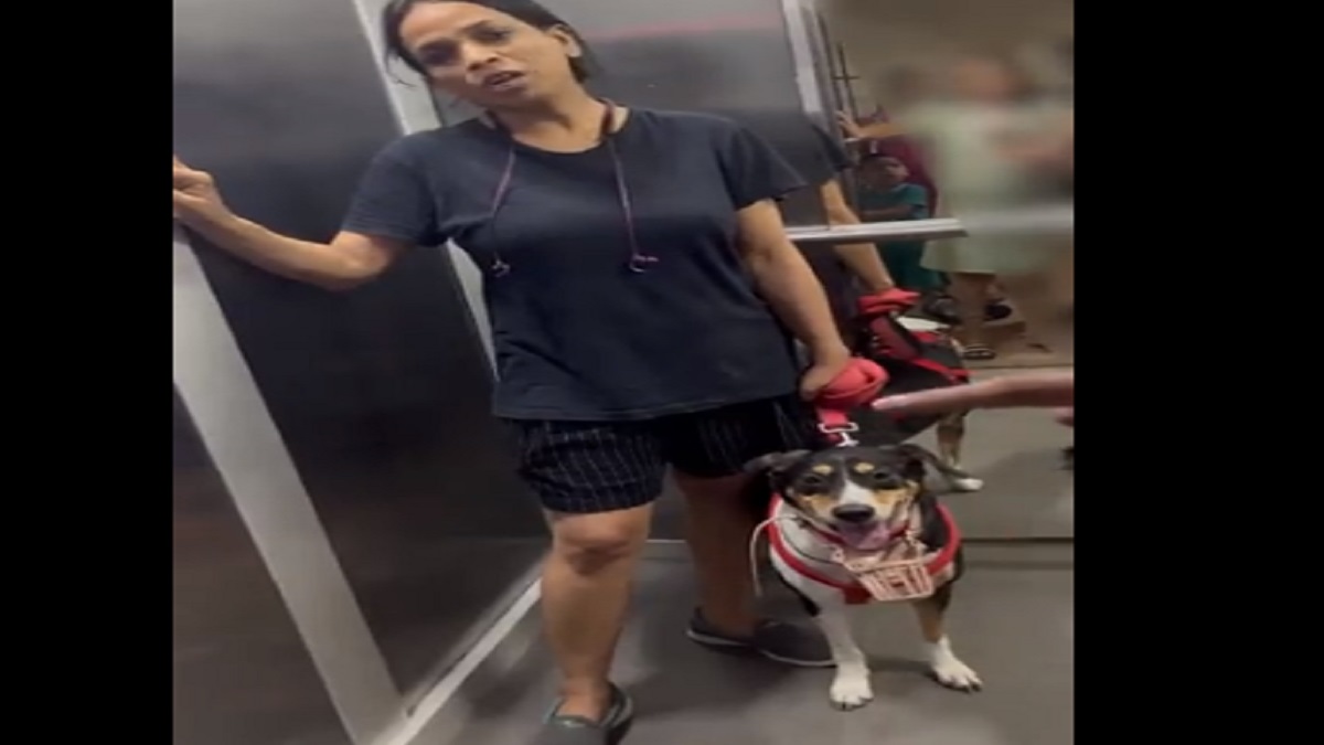 Viral VIDEO: Dog owner creates ruckus in Noida society’s lift, fights with residents
