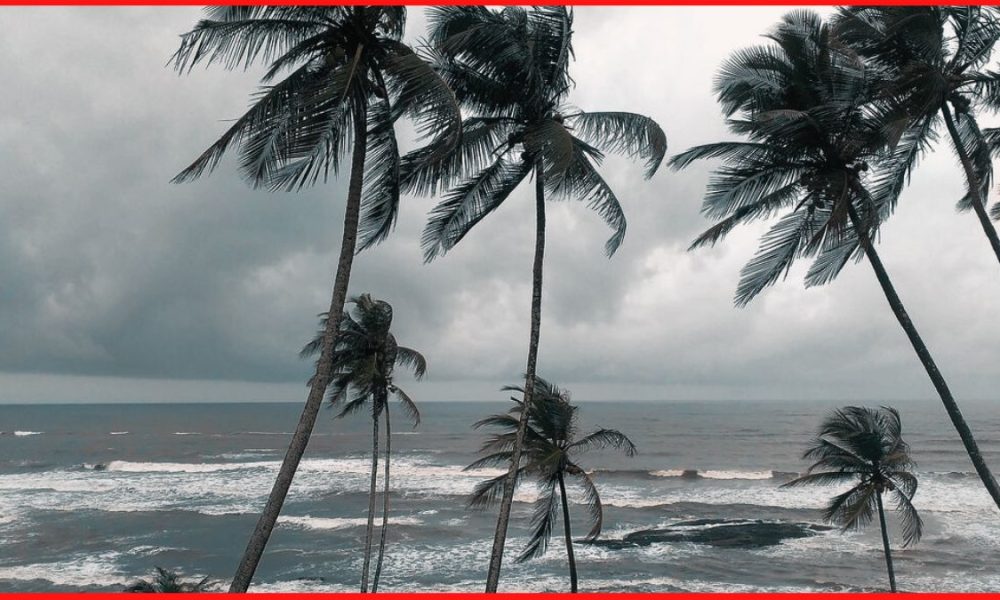 The charm of monsoon in Goa: A unique travel guide to rainy-day experiences