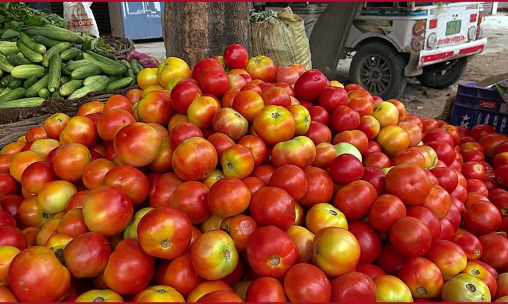 Tomato prices to come down in Delhi-NCR by weekend? Govt orders procurement from South