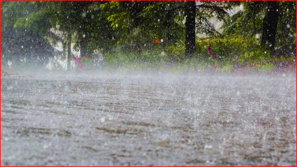 IMD issues red alert in Odisha; Several states bracing for heavy rainfall