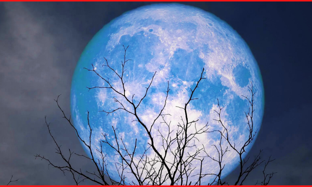 Rare super blue Moon to illuminate nights, this week: All you need to know