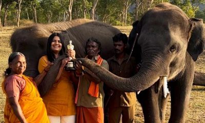 Bomman-Bellie of 'The Elephant Whisperers' Sends Legal Notice, demands Rs 2 crore from Kartiki Gonsalves