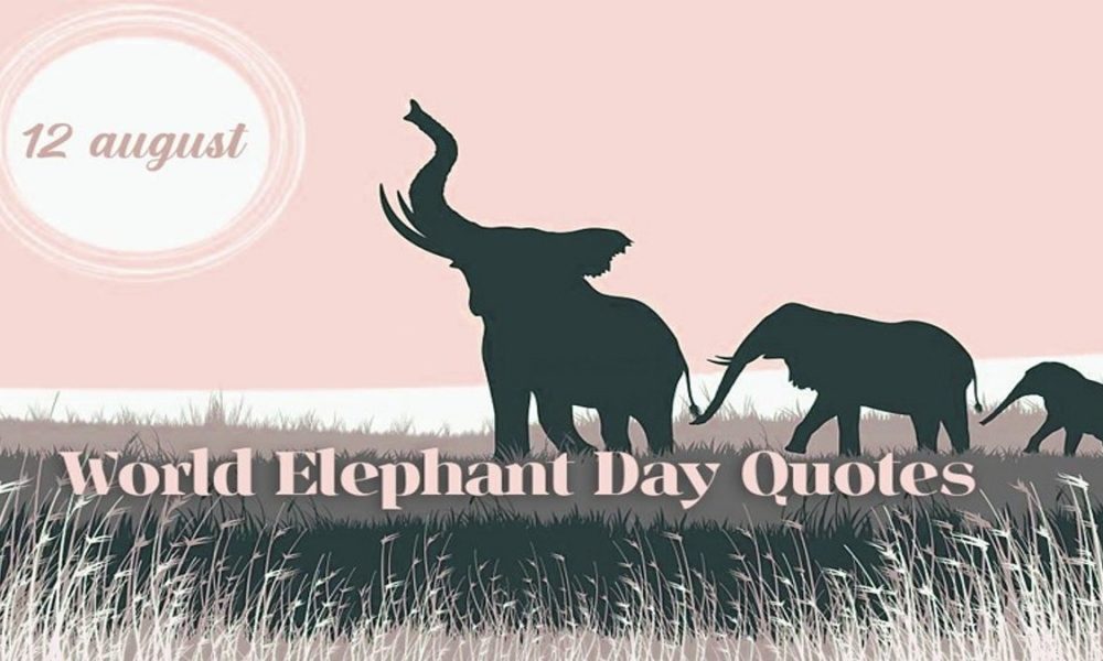 World Elephant Day 2023: Know history, significance and theme