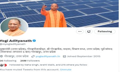 Yogi - twitter followers