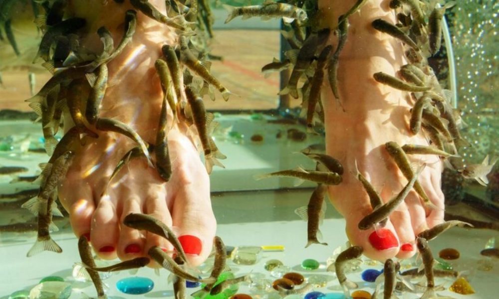 Are Fish Pedicures Safe? Delving into the Depths of Safety Concerns