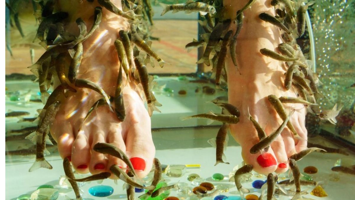 Are Fish Pedicures Safe? Delving into the Depths of Safety Concerns