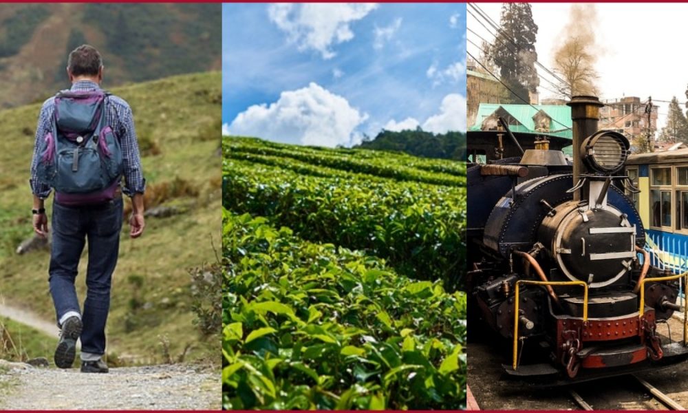 Discover the enchanting beauty of Ooty, here are top places to visit in Ooty