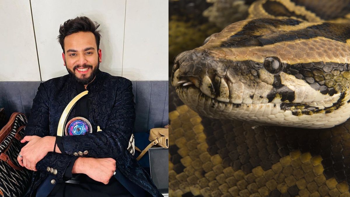 Snake venom case: YouTuber Elvish Yadav gets police notice, likely interrogation soon
