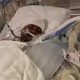 Indian student stabbed in US