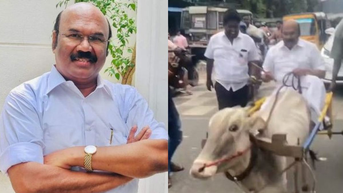 Tamil Nadu’s former minister D Jayakumar rides bullock cart, video goes viral