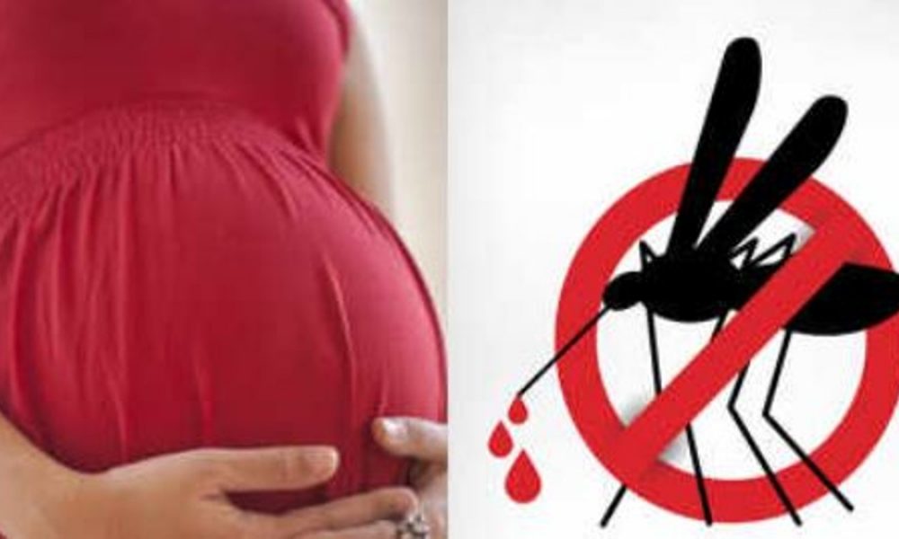 Dengue during pregnancy can turn fatal, know the complications & prevention tips