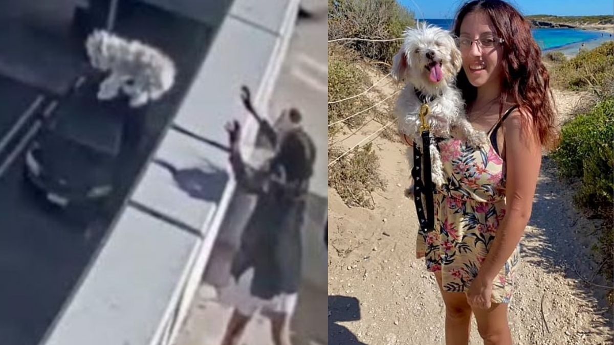 Viral Video: Perth woman jailed for throwing her dog off multi-story car park, disturbing Facebook post surfaces