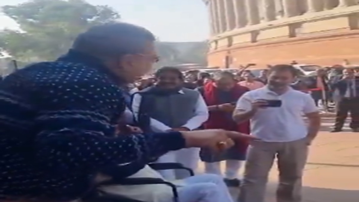 TMC MP Kalyan Banerjee mocks Vice President outside Parliament, Rahul seen filming it (VIDEO)