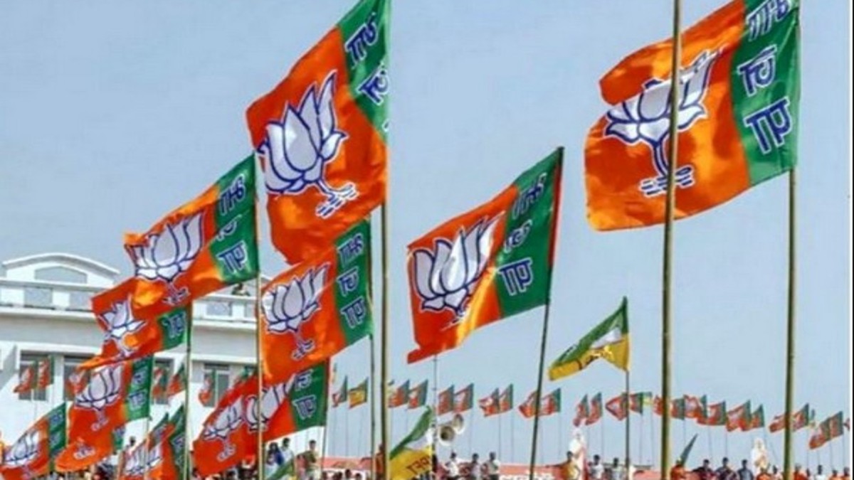 Assam: BJP wins 25 seats in North Cachar Hills Autonomous Council