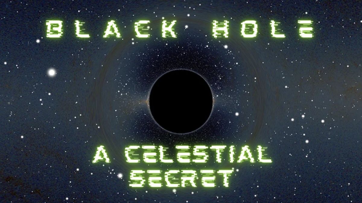 Are the Celestial Bodies Identified as Black Holes Truly Exist?
