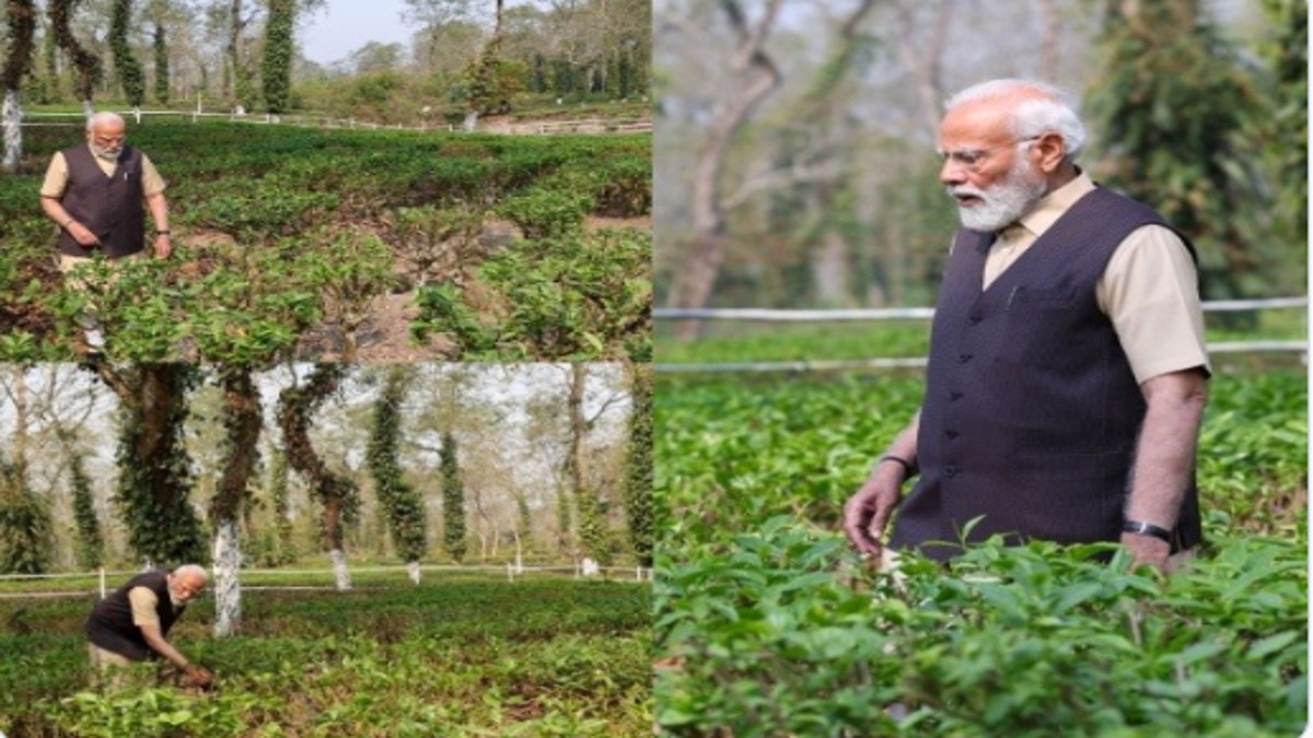 PM Modi spends time at tea garden in Assam, promotes tourism around it