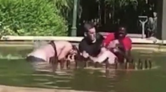 Watch: Video showing man nearly drowning a woman in fountain water goes viral, netizens react 