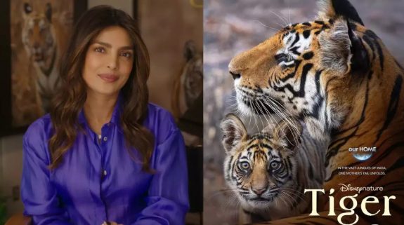 Tiger OTT Release Date: Watch Priyanka Chopra Jonas as the narrator of this documentary unveiling the planet’s most charismatic animal