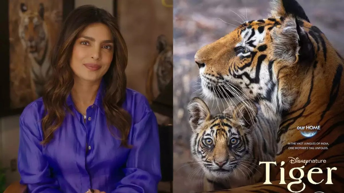 Tiger OTT Release Date: Watch Priyanka Chopra Jonas as the narrator of this documentary unveiling the planet’s most charismatic animal