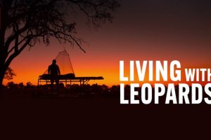 Living with Leopards OTT Release Date: Explore the amazing life circle of the leopards with this animal documentary
