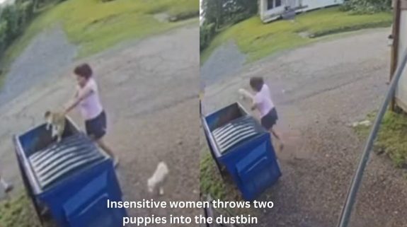 US women throws two puppies in dustbin, CCTV footage goes viral