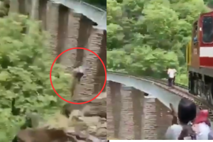 Watch: Couple jumps 90-feet down from bridge to avoid getting hit by train, Viral video leaves netizens shocked 