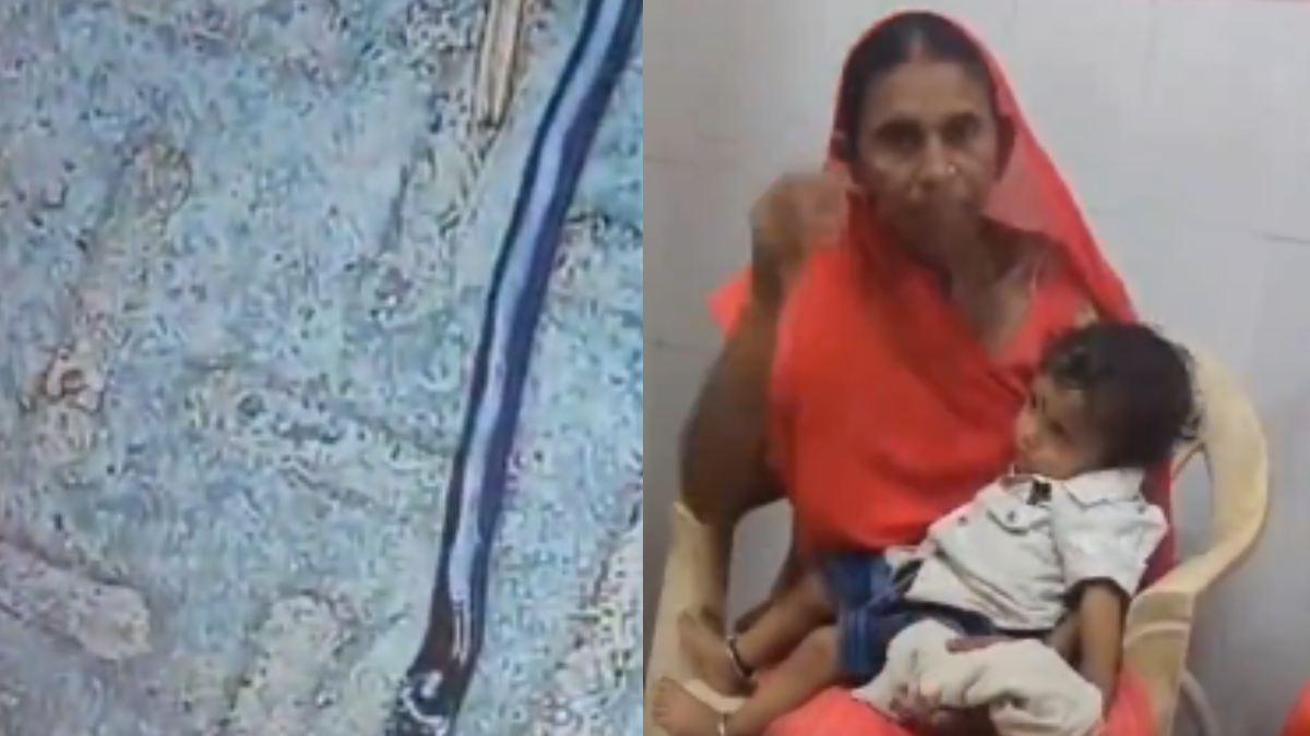 Video: Bihar child kills snake by chewing it to death, Hospital declares him ‘completely fine’