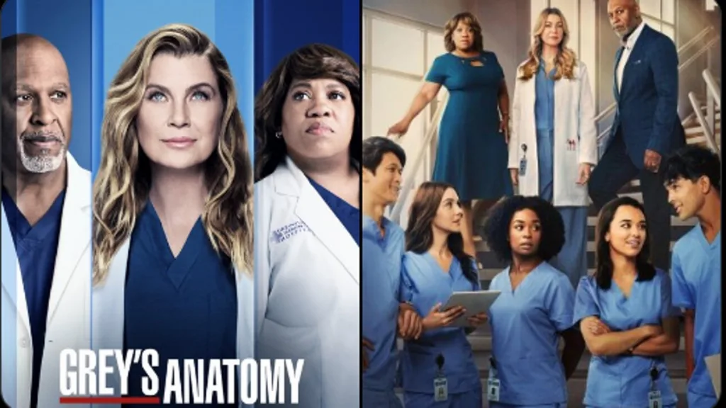 Grey's anatomy