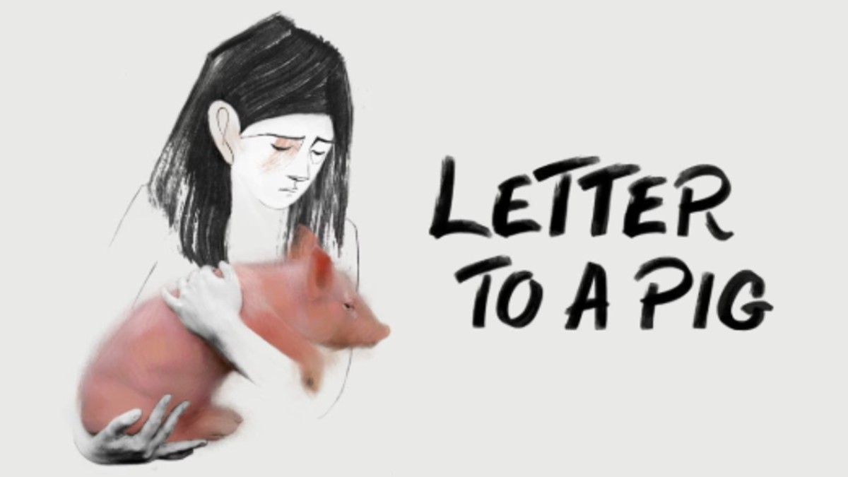 Letter to a Pig OTT Release: This animated short film promises to make you shed a tear with it’s tragic tale