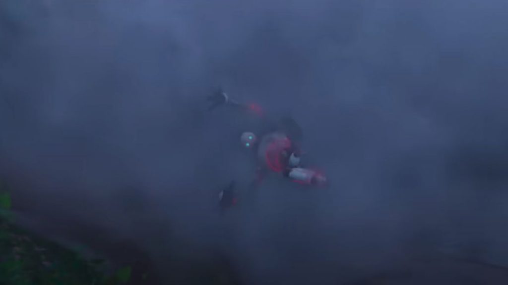 The Wild Robot